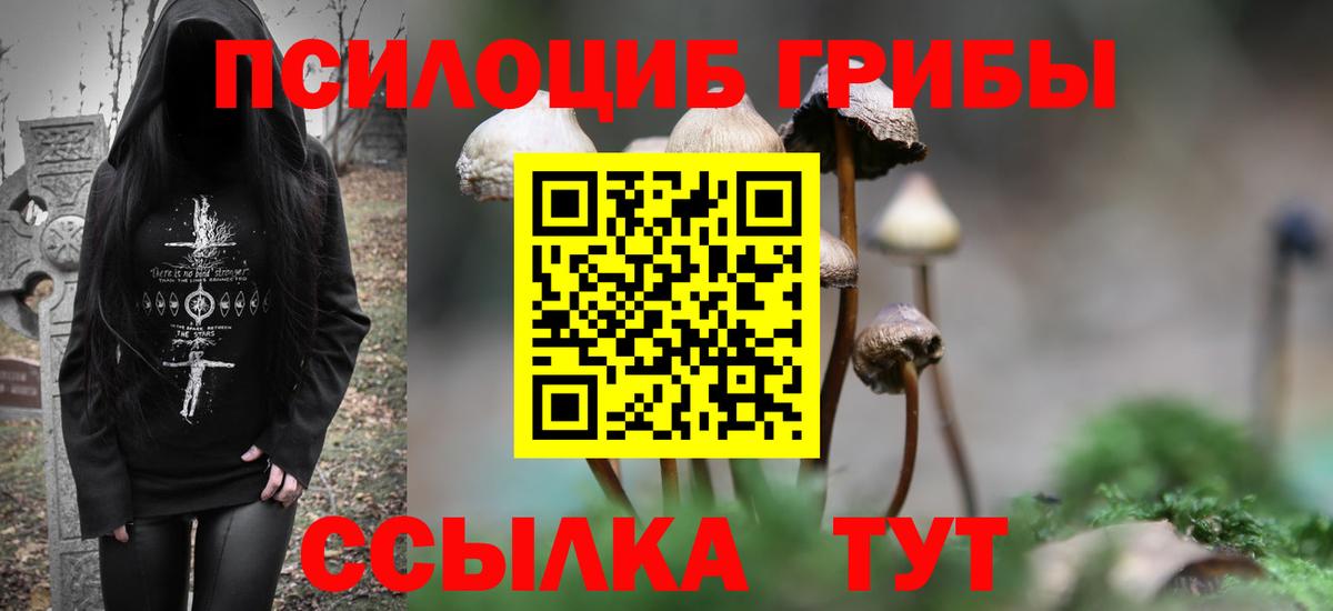 Псилоцибиновые грибы Psilocybine cubensis Дивногорск